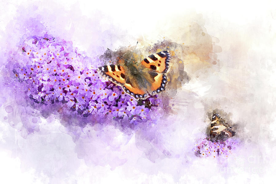 Tortoiseshell Butterfly on a Buddleia Digital Art by Ann Garrett