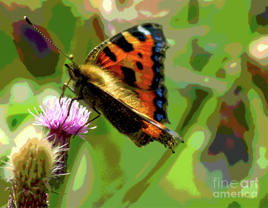 Tortoiseshell Butterfly, Postrised version Photograph by Pics By Tony