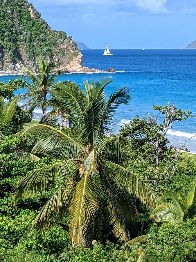 sailboat rental tortola