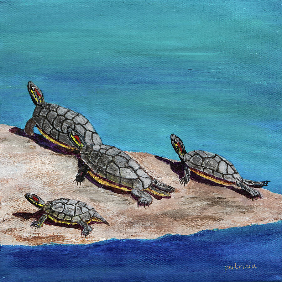 Tortugas Tranquillas Painting by Patricia Gould