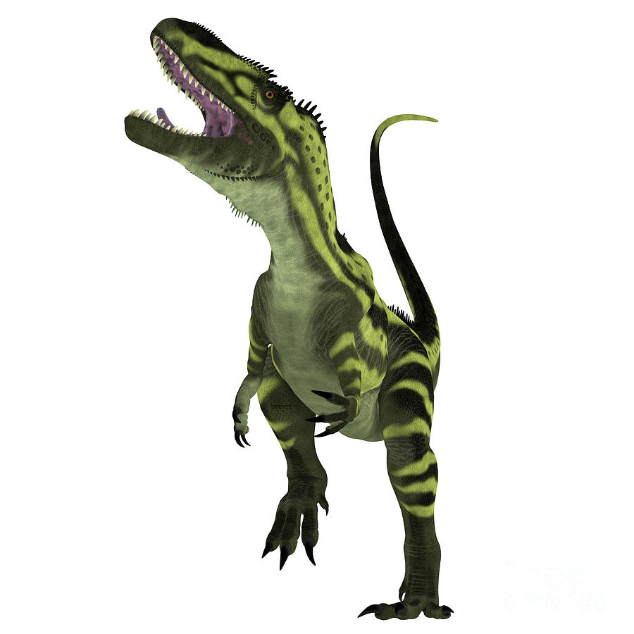 Torvosaurus Dinosaur on White Digital Art by Corey Ford