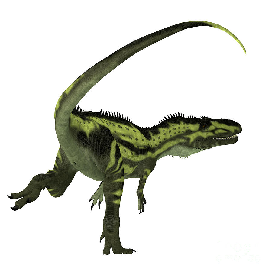 Torvosaurus Dinosaur Tail Digital Art by Corey Ford