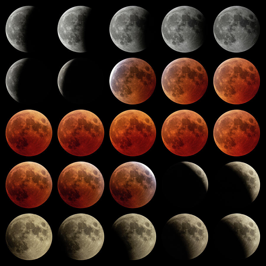 Total Lunar Eclipse Montage Photograph by Kyle Hiscock - Fine Art America