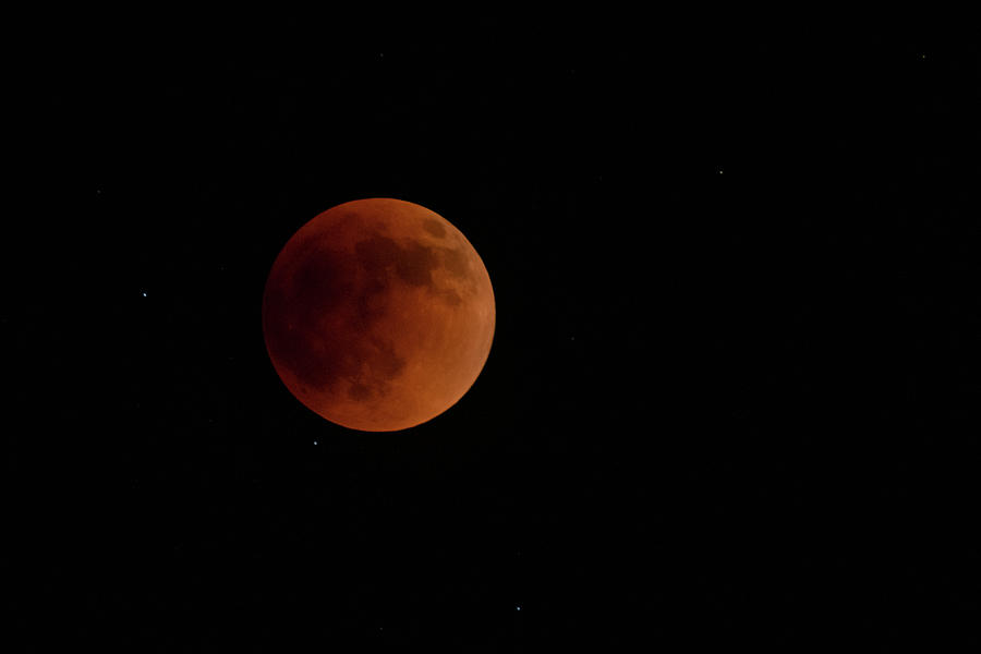 Total Lunar Eclipse Photograph by Robert J Wagner