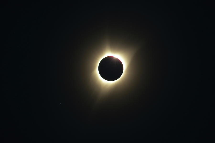 Total Solar Eclipse Photograph - Total Solar Eclipse, 2017 by Phil Hopkins