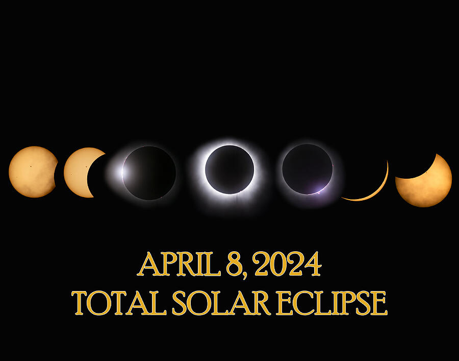 Total Solar Eclipse Phases Photograph by Jennifer Leigh Warner - Fine ...