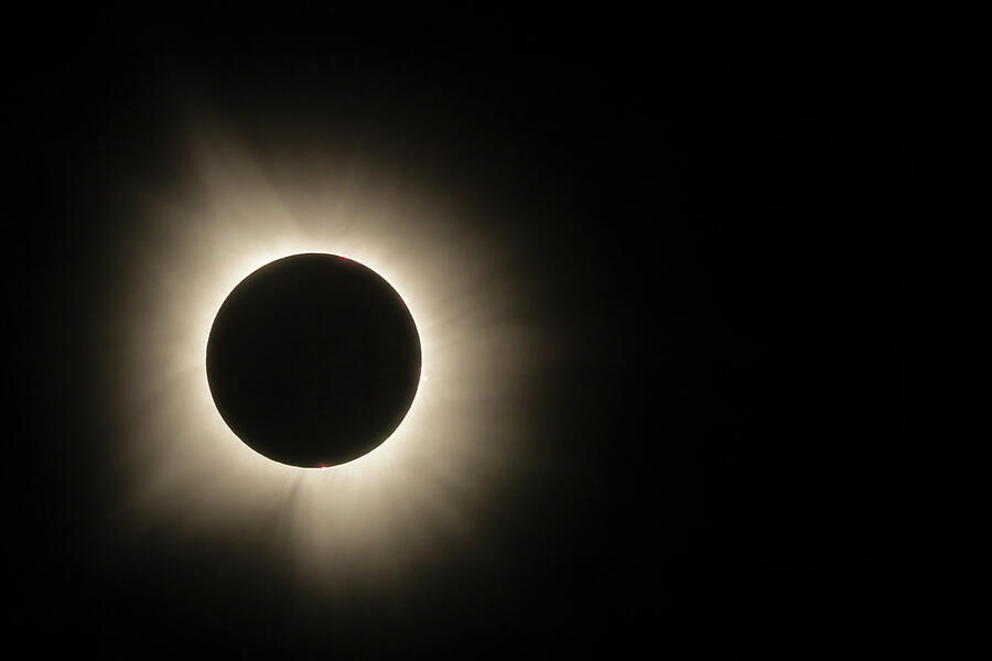 Totality 2024 Photograph by Lee and Renee Walsh Totality 2024 Photograph by Lee and Renee Walsh