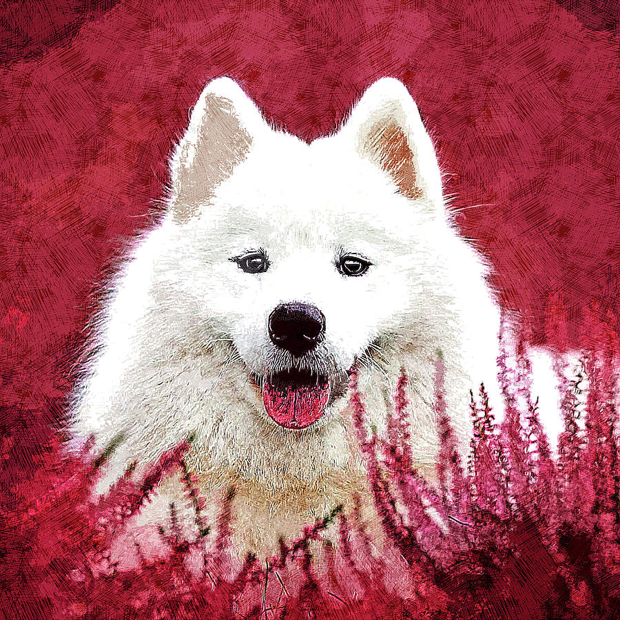 Totally Adorable, Samoyed Dog Painting by Custom Pet Portrait Art Studio