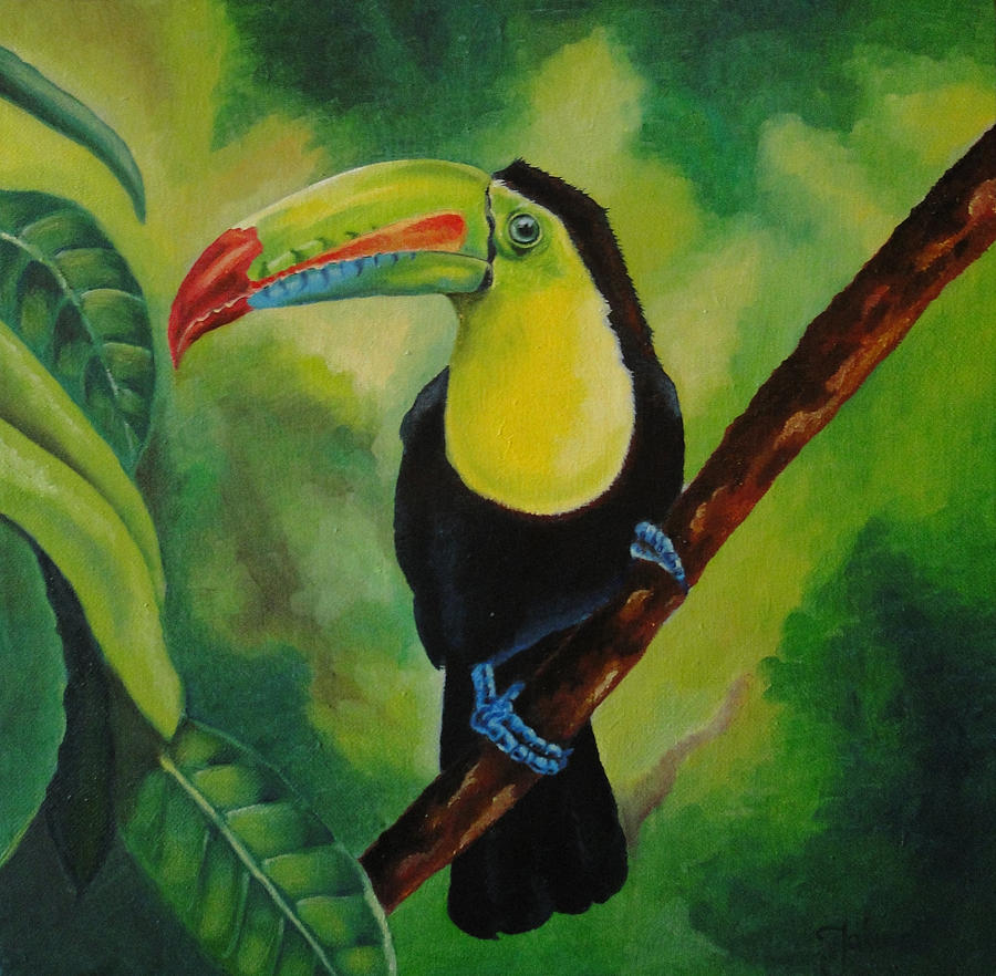 Toucan bird Painting by Neringa Jakimcik - Fine Art America