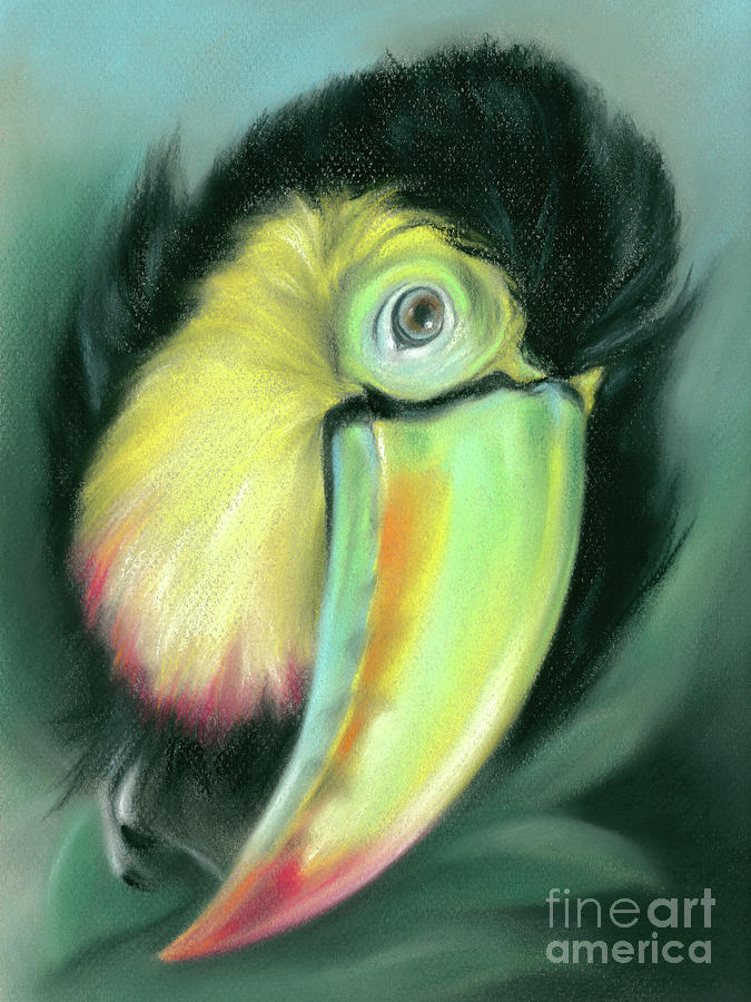 Toucan Colorful Exotic Bird Painting by MM Anderson