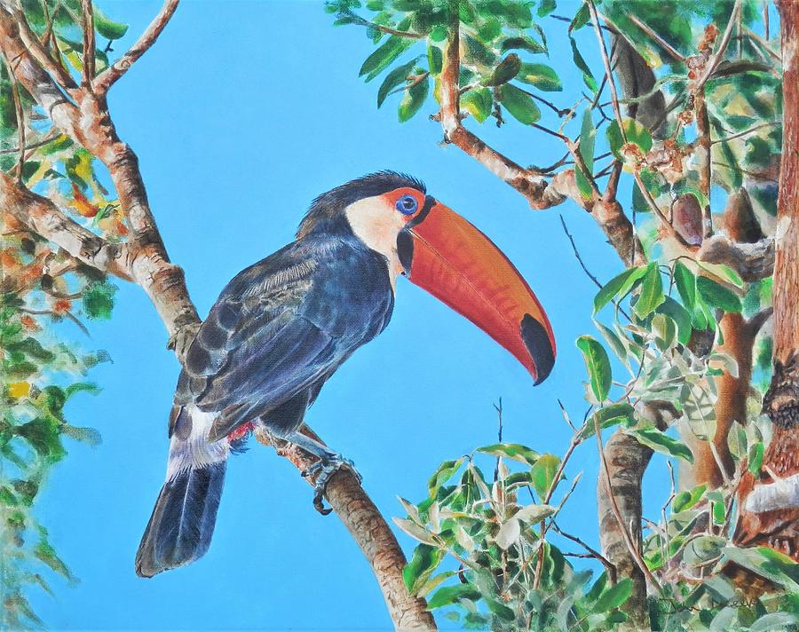 Toucan Painting by John Neeve