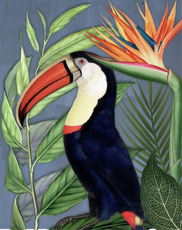 Toucan Painting - Toucan Jungle II by Karen Smith