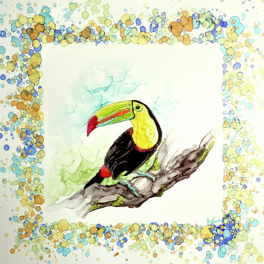 Toucan Painting - Toucan by Kim Cook