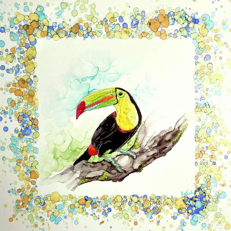 Toucan Painting - Toucan by Kim Cook Toucan Painting - Toucan by Kim Cook