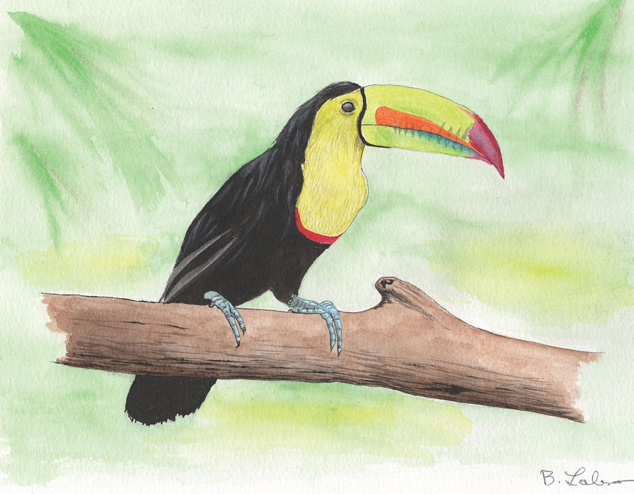 Toucan Portrait Painting by Bob Labno