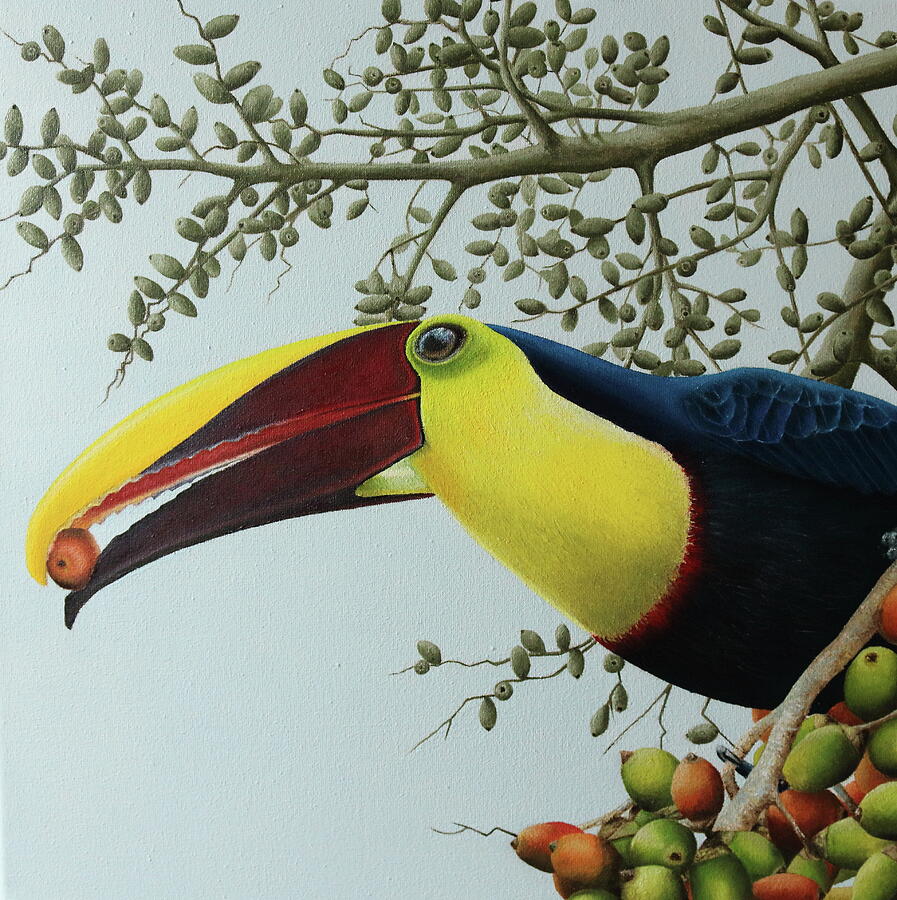 Toucan Painting by Russell Hinckley