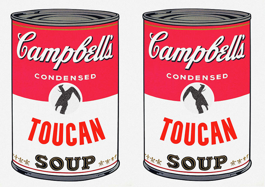 Toucan Soup Mixed Media by Charlie Ross