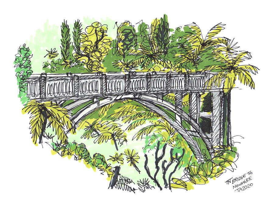 Tour Aotearoa - Bridge to Nowhere Drawing by Tom Napper