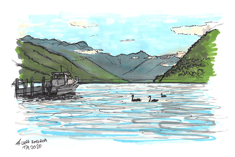 Tour Aotearoa - Lake Rotoroa Drawing by Tom Napper