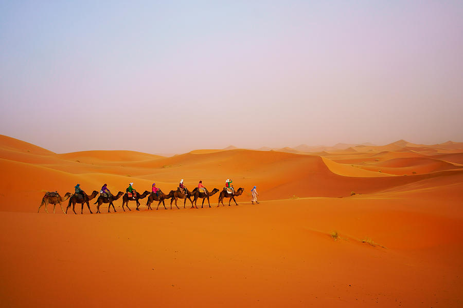 Tourist camel safari in Sahara desert Photograph by Redtea