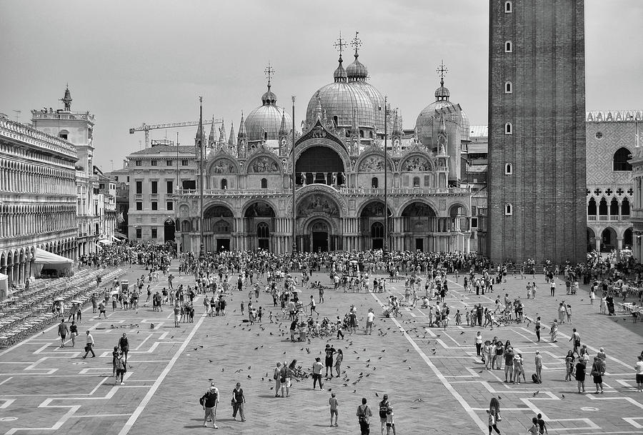 Tourists and Pigeons on Piazza San Marco St. Marks Basilica Venice Italy Black and White Photograph by Shawn OBrien