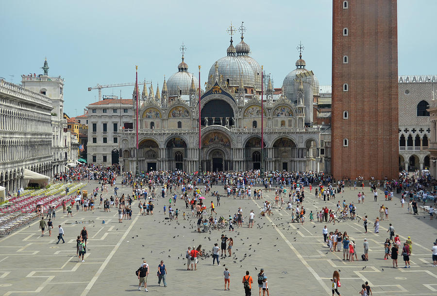 Tourists and Pigeons on Piazza San Marco St. Marks Basilica Venice Italy Photograph by Shawn OBrien