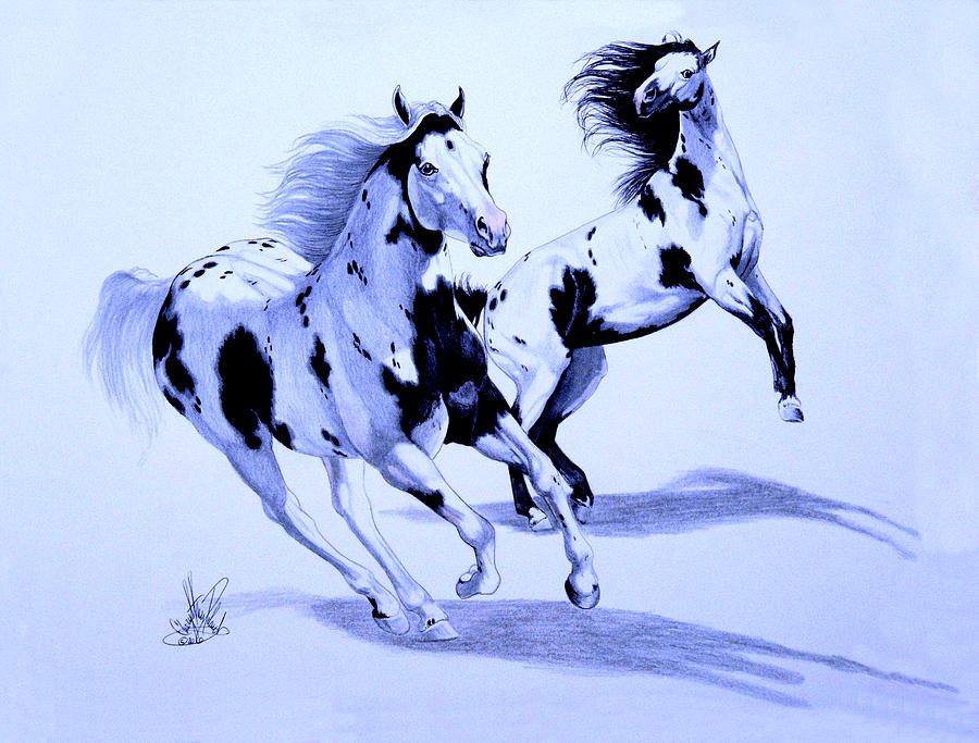 Tovero And A Tobiano Painting