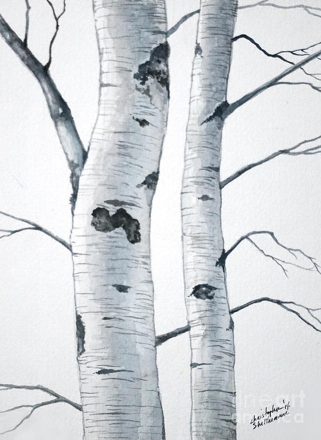 Two Birch Trees Painting by Christopher Shellhammer