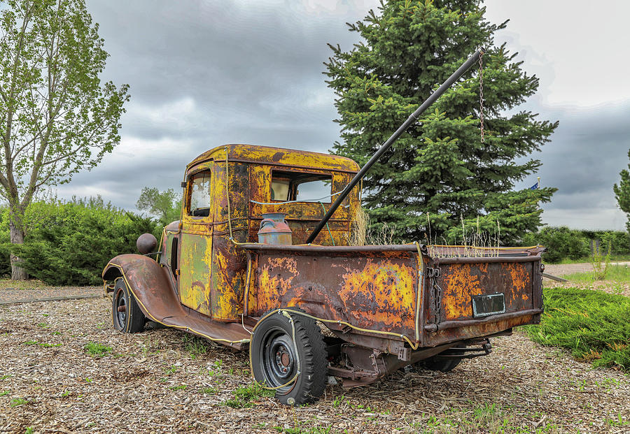 Tow Mater Bed Photograph by Lorraine Baum
