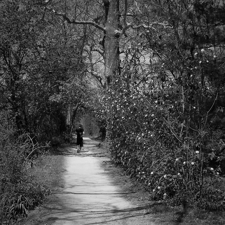 Spring Photograph - Tow Path - Spring - Black and White by Val Arie