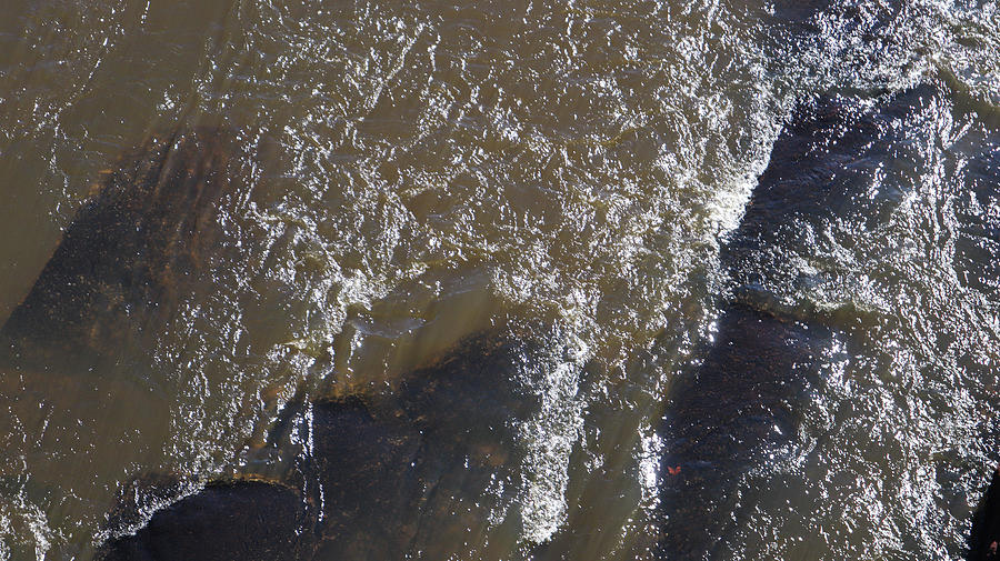 Towaliga River Overhead Photograph by Ed Williams