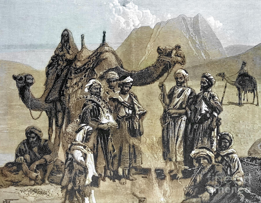 Towarah Arabs, Sinai h1 Drawing by Historic illustrations - Pixels