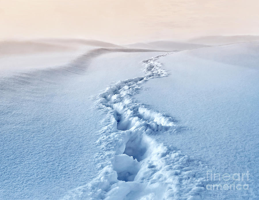 Towards horizon, Footprints track in deep snow, getting dark at sunset glow Photograph by Tatiana Bogracheva