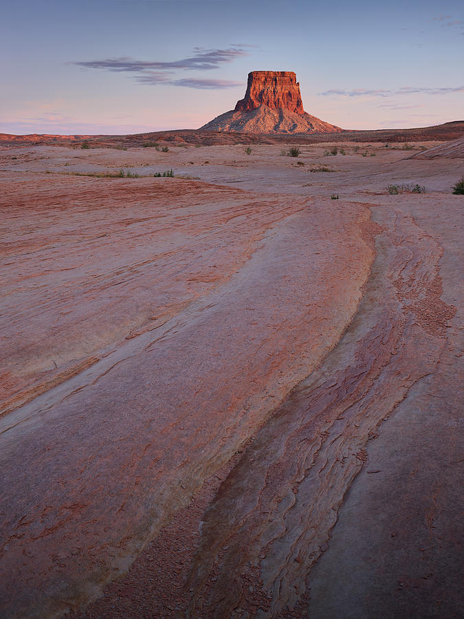Tower Butte Photograph by Peter Boehringer