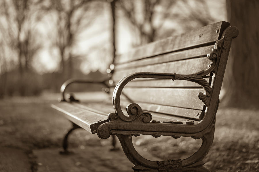 St. Louis Photograph - Tower Grove Park bench by Scott Rackers