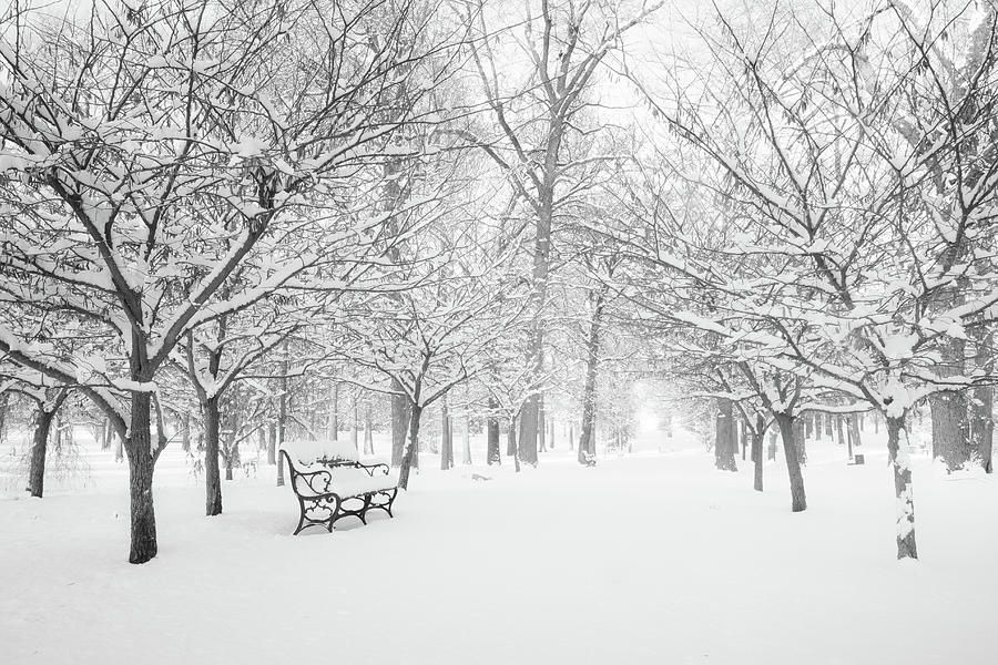 Tower Grove Park blanked in snow Photograph by Scott Rackers