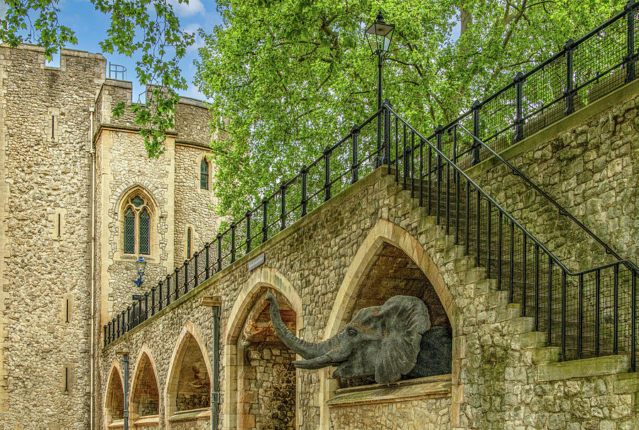 Tower of London Elephant, London Photograph by Marcy Wielfaert
