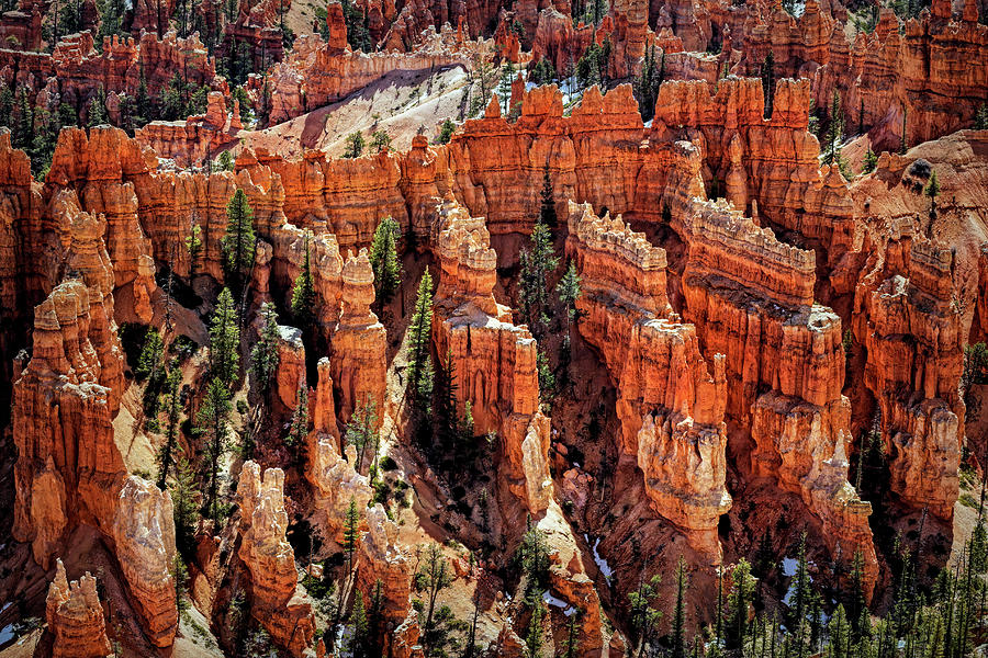 Towering Hoodoos in Bryce Canyon Photograph by Francis Sullivan - Fine ...