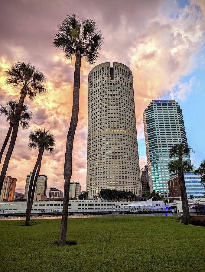 Towering Palms and Downtown Tampa Photograph by Daniel Woodrum