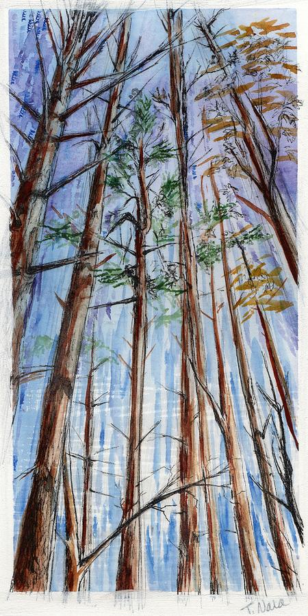 Towering Trees Painting by Tammy Nara
