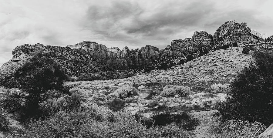 Towers Of The Virgin Zion Panorama Photograph by Andrew Pacheco