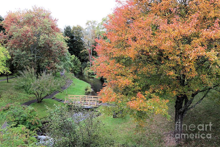 Town Brook in October  Photograph by Janice Drew
