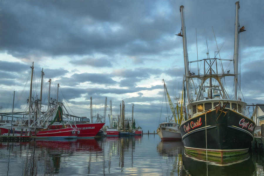Carolina Lark Pixels North by Photograph Town - Dock Cindy Hartman Oriental