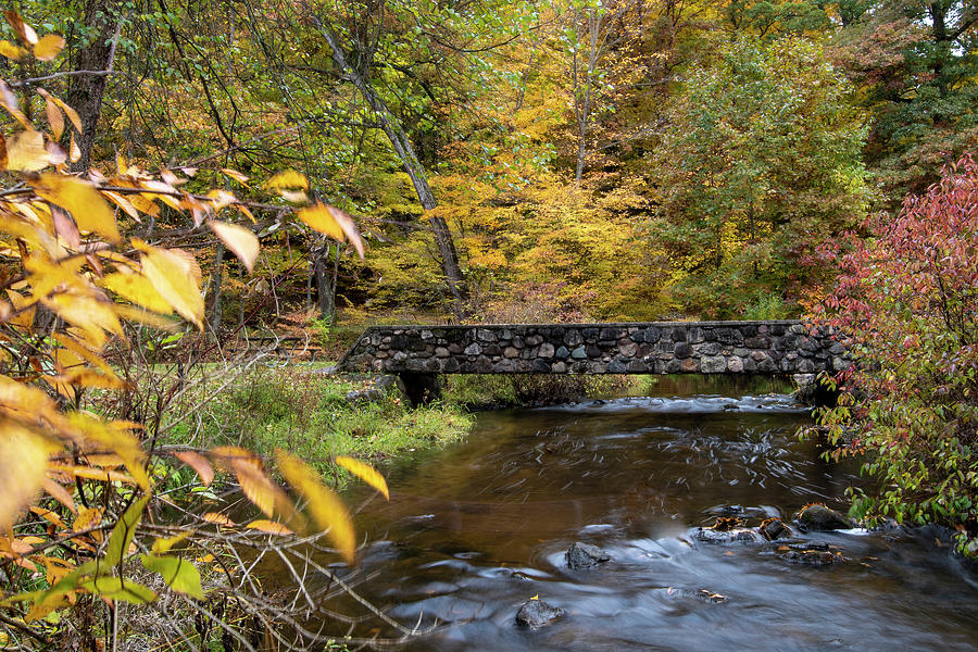 Townsend Park Fall Colors And Stone Bridge Landscape Photograph By Rick 