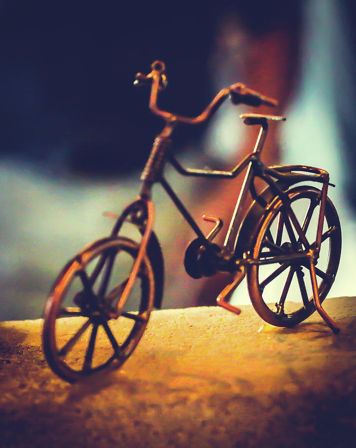 Toy Bicycle Photograph by Hyuntae Kim