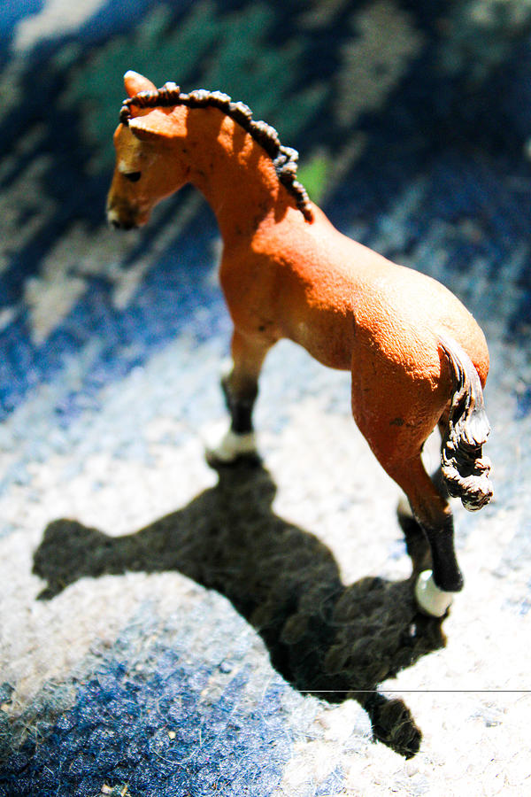 Toy Horse Photograph by W Craig Photography