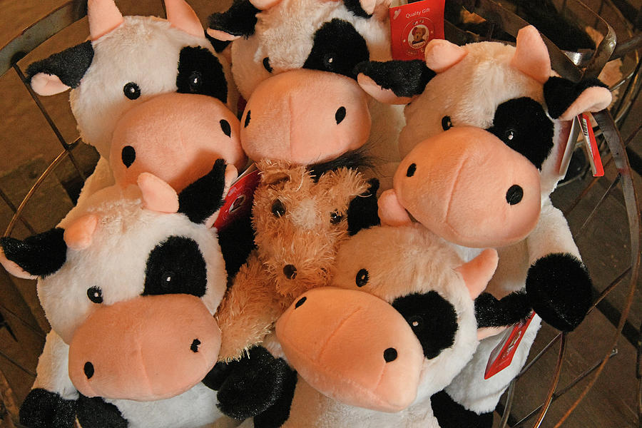Toy Stuffed Dog And Cows Photograph