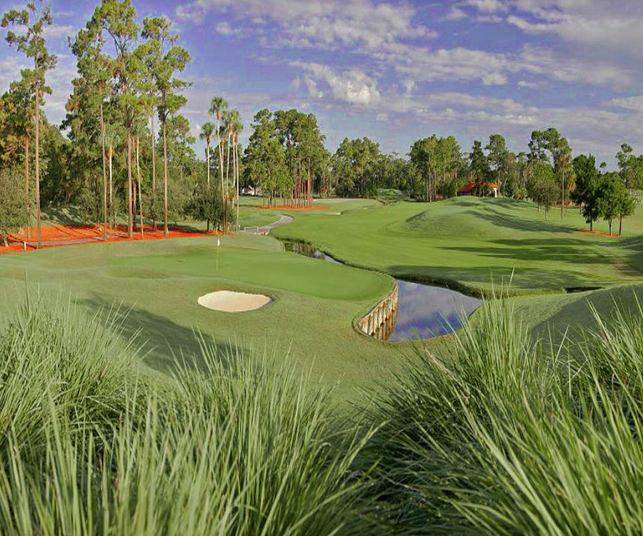 TPC Sawgrass Players course FL Photograph by Imagery-at- Work