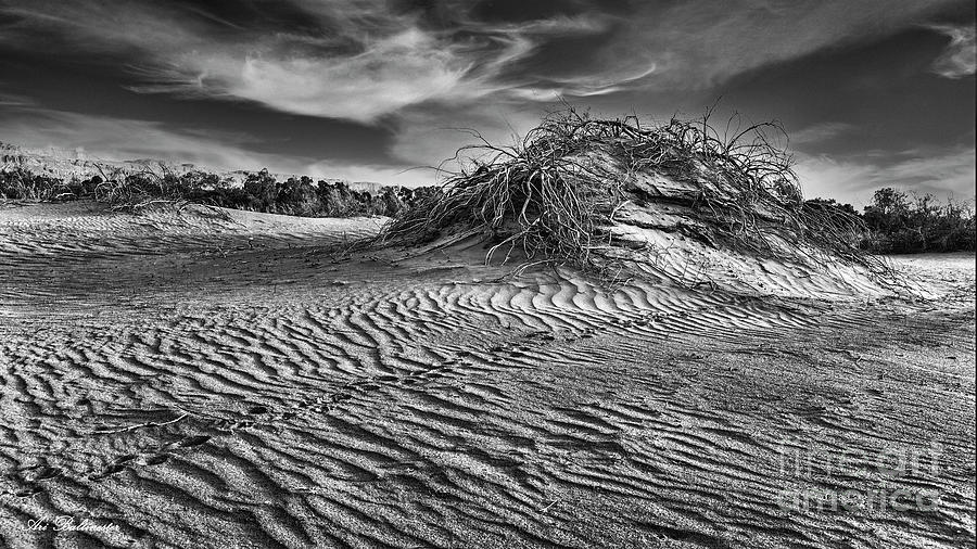 Traces in the dunes Photograph by Arik Baltinester