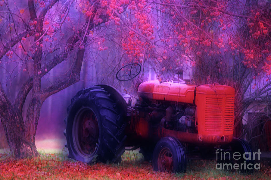 Fall Photograph - Traces Of Time by Bob Christopher